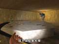 大狗哥盖瑞模组多元宇宙 16集