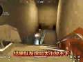 三角洲之叶秋行动 13集
