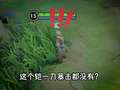 殿主（小仙姑） 173集