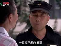 杨光的爱情故事 19集