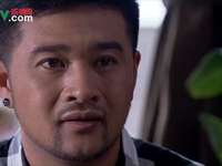 杨光的爱情故事 25集